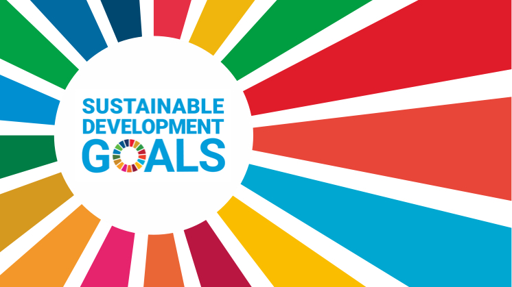 SDG: Businesses For a Better Future